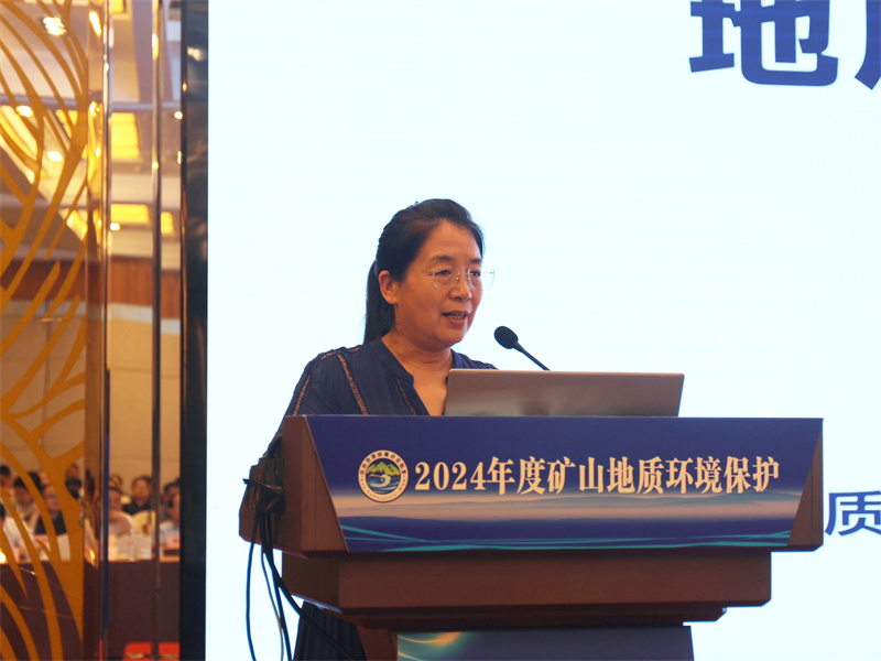 271716777967199058.jpg 8.陕西省地质调查院地质环境监测总站正高级工程师 李永红 学术报告.jpg
